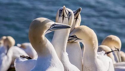 17173热门游戏榜:《燕云十六声》迎周年庆版本 《暗区突围:无限》S4赛季登场