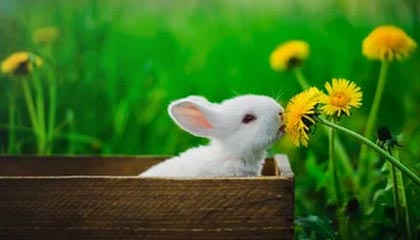 天赋多样性、英雄天赋平衡与资源循环——死亡骑士在“地心之战:午夜”中的必备要素